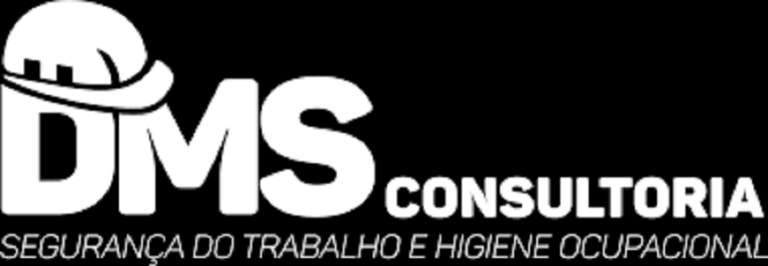 “Logotipo da DMS Consultoria — cliente corporativo que confia na T&H Wash para limpeza técnica de carpetes em escritórios.”