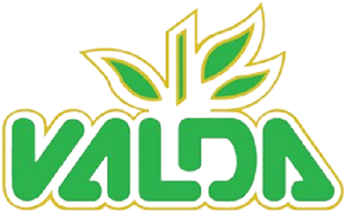 Logotipo da Pastilhas Valda — cliente da T&H Wash em higienização profissional de carpetes em ambientes corporativos.”